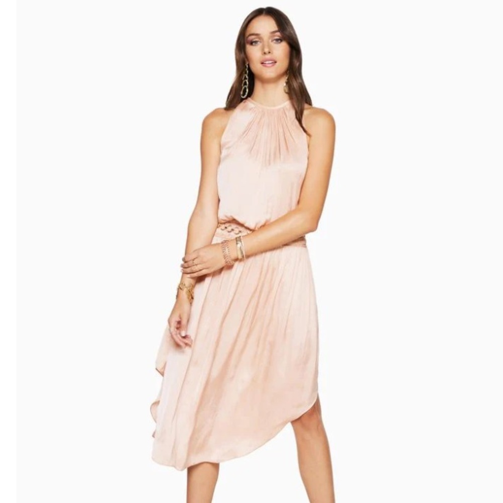 Shiny Audrey Dress - Blossom